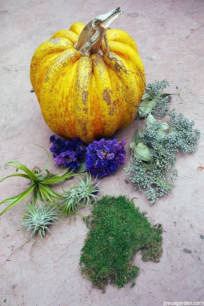 Mossy pumpkin decor