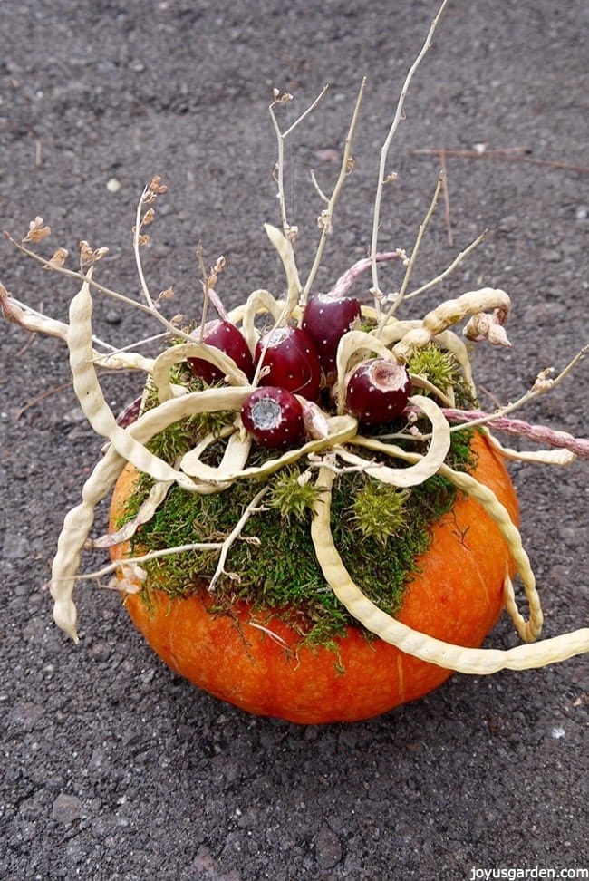 Gorgeous pumpkin decorations