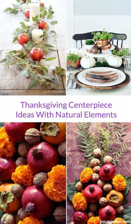 Thanksgiving Centerpiece Ideas With Natural Elements