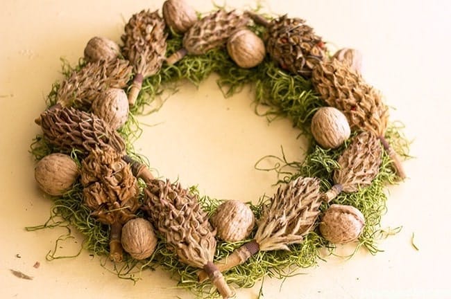 Magnolia Cone Succulent Walnut Adorned Wreath