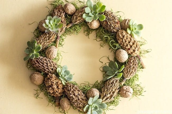 Magnolia Cone Succulent Walnut Adorned Wreath