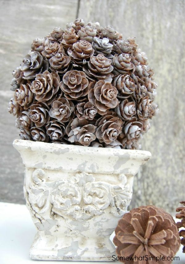 Pine cone topiary