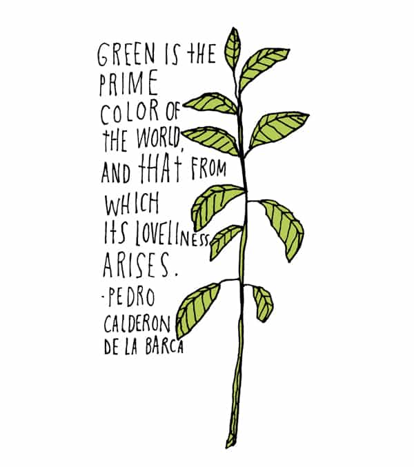 10 Inspiring Garden Quotes 10 Inspiring Garden Quotes