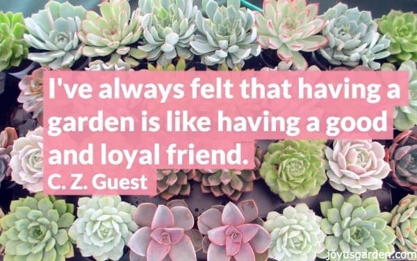 10 Inspiring Garden Quotes