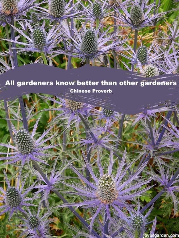 Garden Quotes