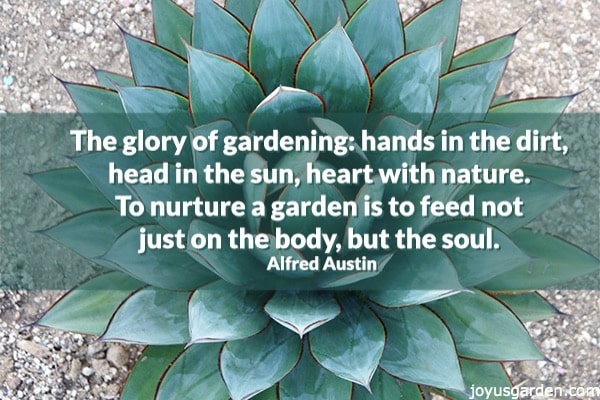 10 Inspiring Garden Quotes