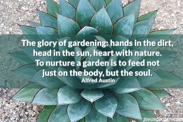 Garden Quotes