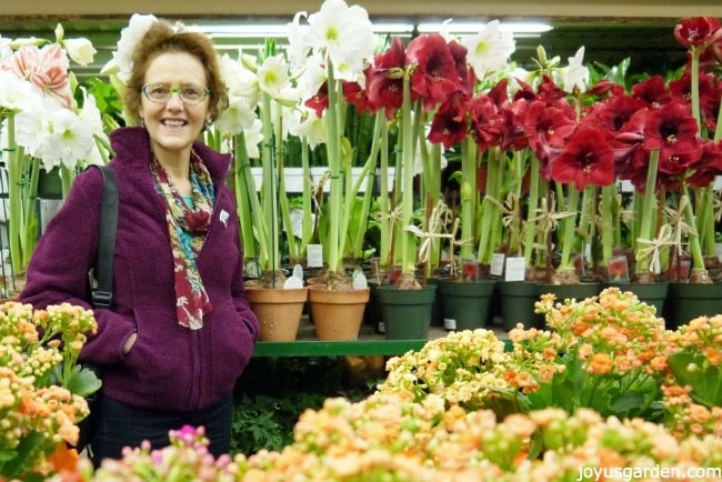 a woman stands next to many amaryllis plants with flowers