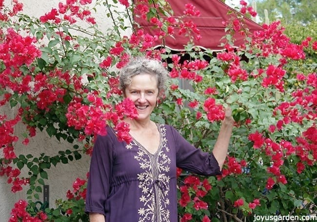 Pruning Bougainvillea: Getting This Flowering Machine to Bloom