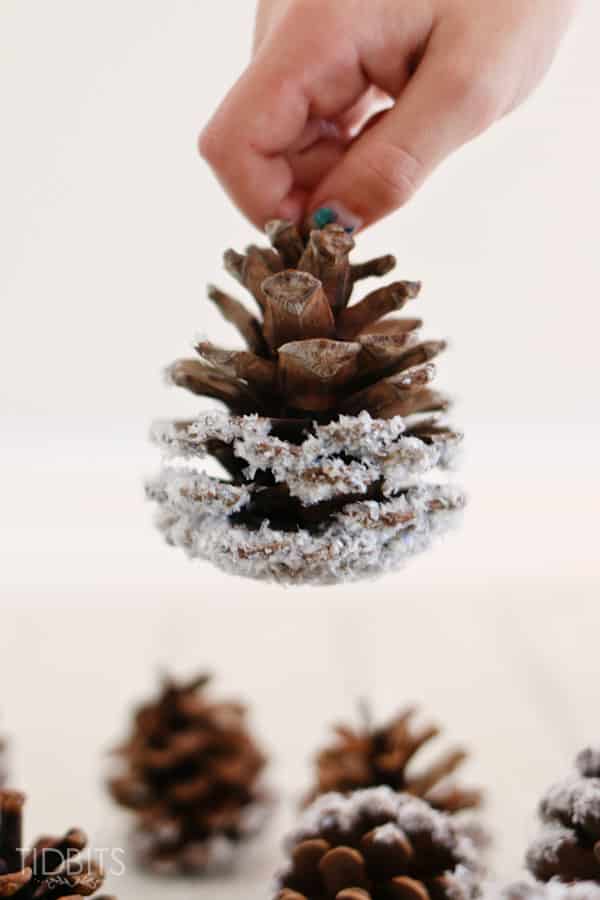 DIY Snow Covered Pinecones being held by a hand