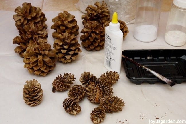 many small pine cones sit on a sheet of white paper next to school glue, a brush & plastic tray, & canisters of crystal glitters