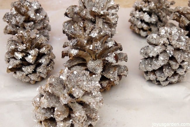 up close looking at pine cones glittered with mica flake glitter to give them an old fashioned look