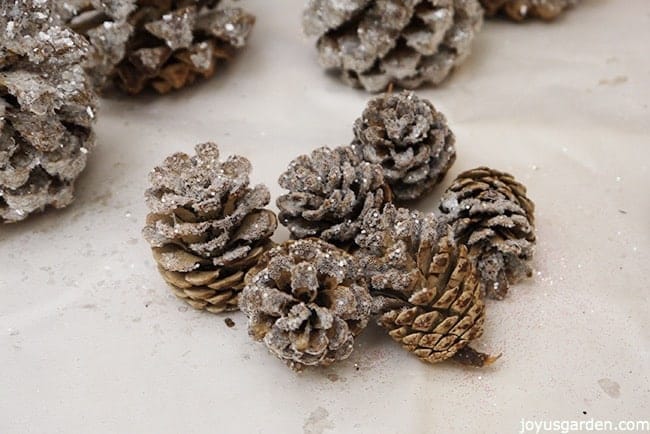 pine cones glittered with crystal glitter sit on a piece of white paper