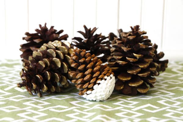 painted pinecones in a pile