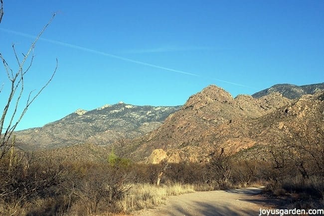 Gorgeous Desert Hike