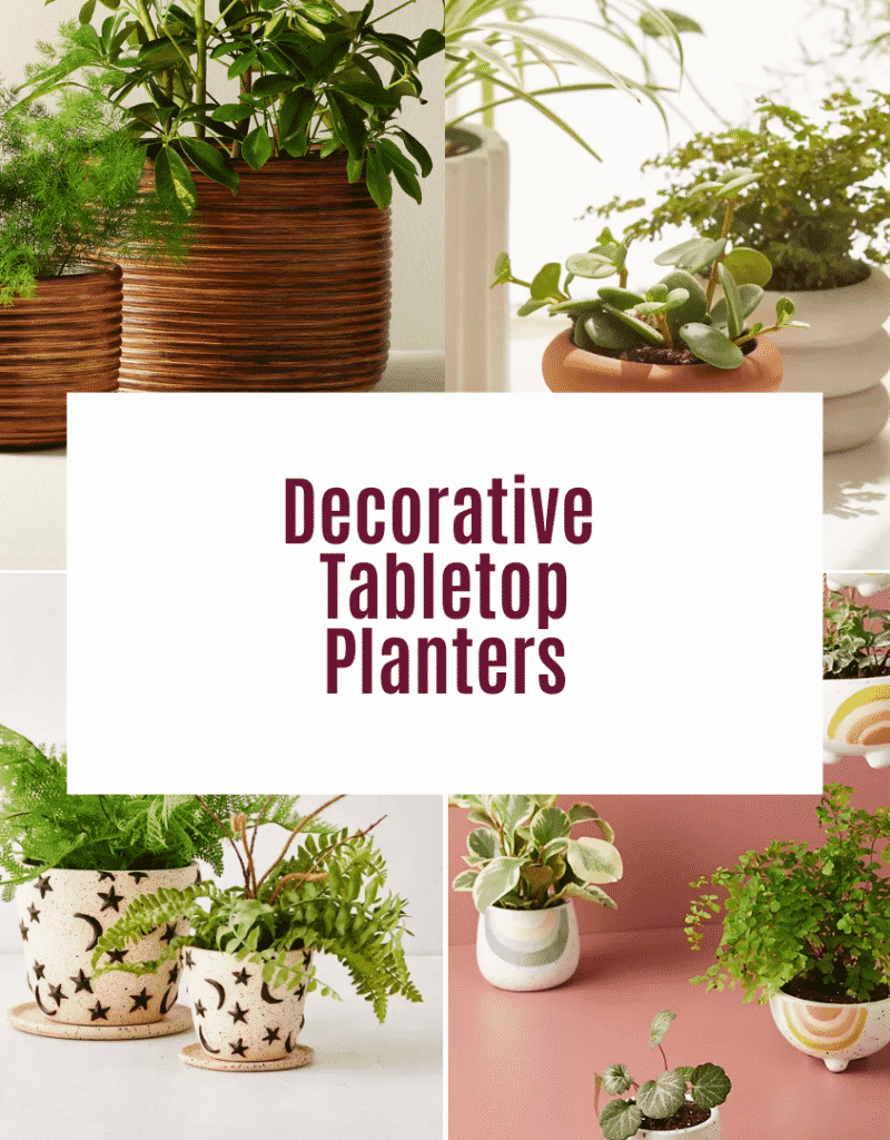 a collage showing 4 photos of pots for indoor plants the text reads decorative tabletop planters