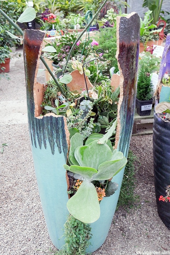 What To Do With Broken Plant Pots