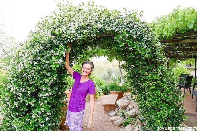 Nell foster in a purple top stands underneath an arch covered with star jasmine in full flower.