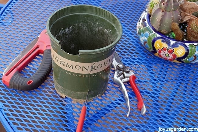 a pruning saw, felco pruners. floral knife, monrovia grow pot & cactus dish garden sit on a blue patio table