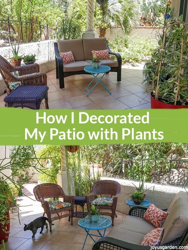 How I Decorated My Patio with Plants