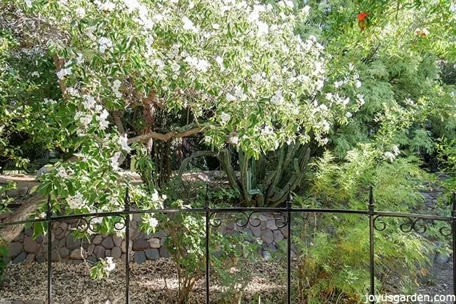 View to the side patio
