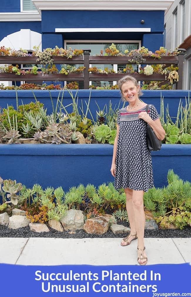 Nell standing in front of a fence made with gutters covered with succulents below theres a graphic that reads Succulents Planted In Unusual Containers