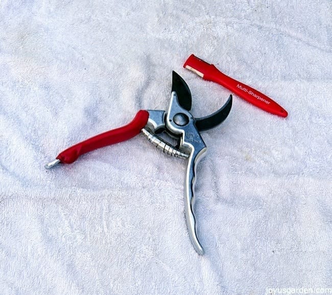 A pair of felco pruners & a pruning sharpeners lay on a towel.