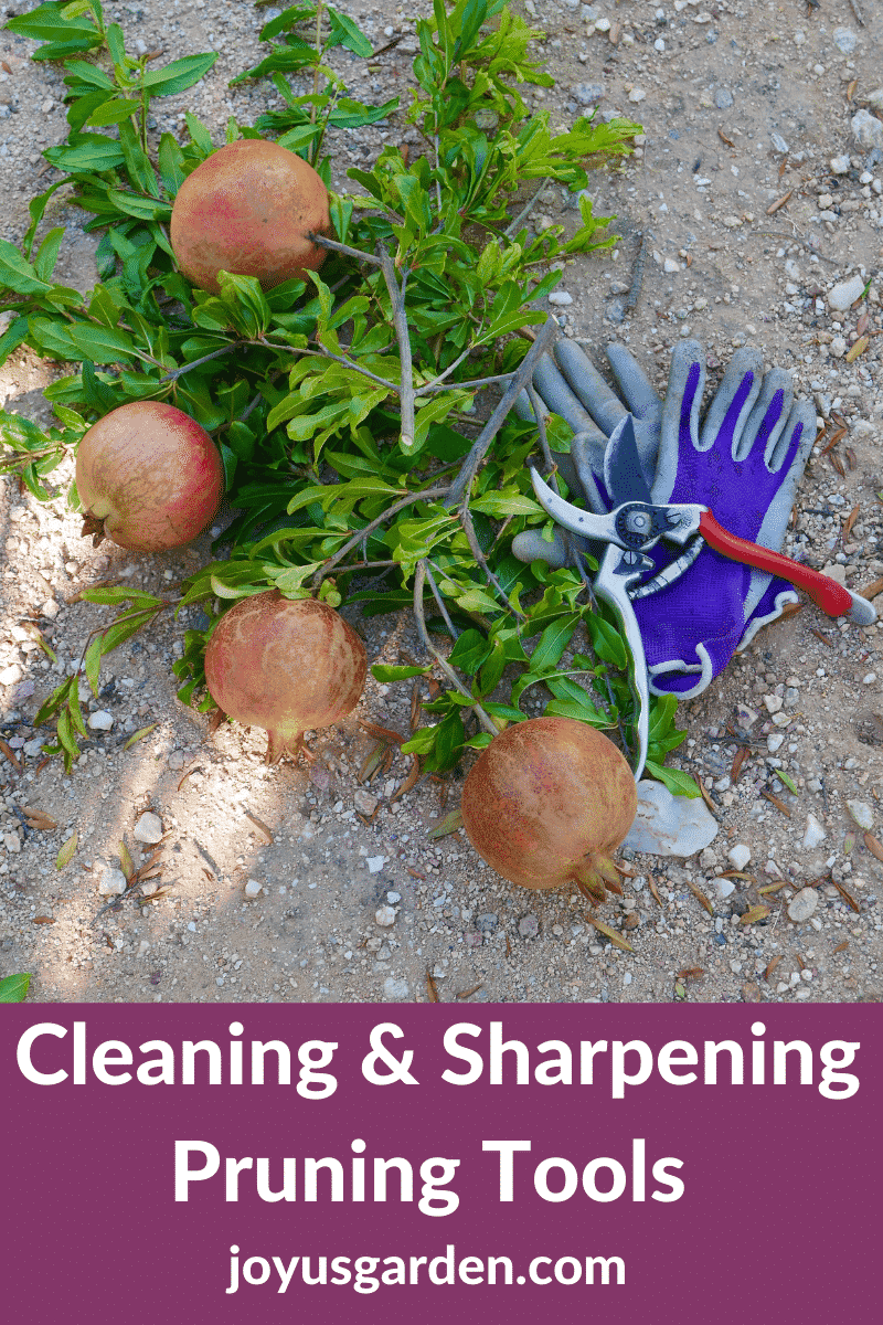 Sharpening Garden Pruners - The Martha Stewart Blog