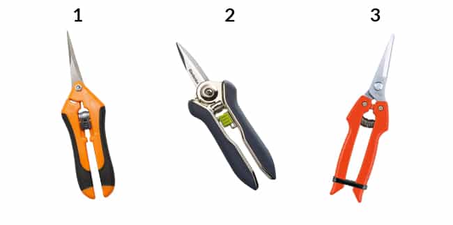 Three pairs of floral snips