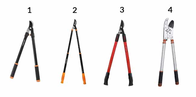 Loppers for pruning branches