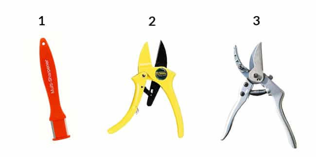 Additional favorite pruners