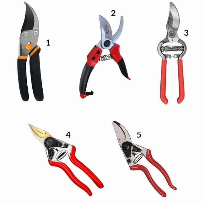 Some of the best pruners on the market