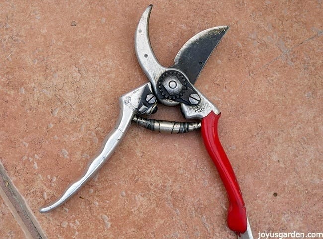 Proper pruning shears for the project