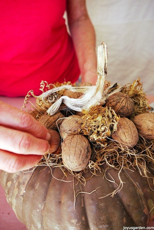 walnuts are being glued onto spanish moss which is glued on top of a brown pumpkin