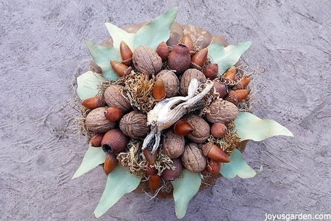 looking down on walnuts, pods, acorns, dried leaves glued onto spanish moss on top of a brown pumpkin