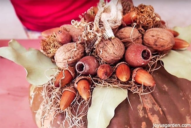 walnuts, pods, acorns & dried leaves are glued onto spanish moss on top of a brown pumpkin