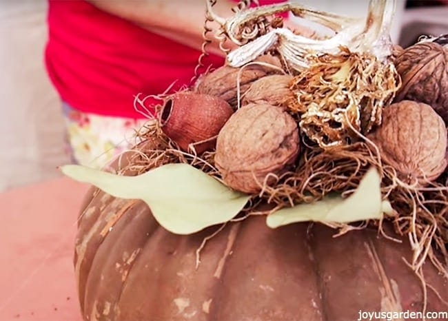 close up of pods, walnuts, dried leaves & spanish moss on top of a brown pumpkin