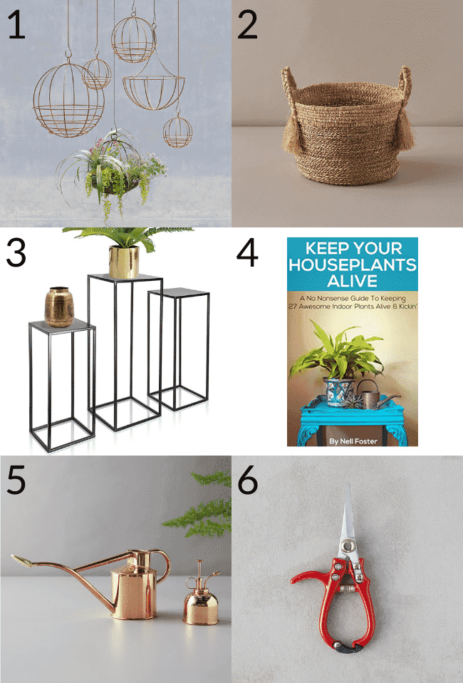 Indoor Gardeners and Houseplant Lovers Ultimate Gift Guide