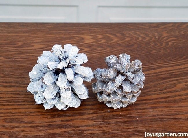 2 pine cones sit next to each other. 1 is painted white & the other is bleached. Both have crystal glitter on them