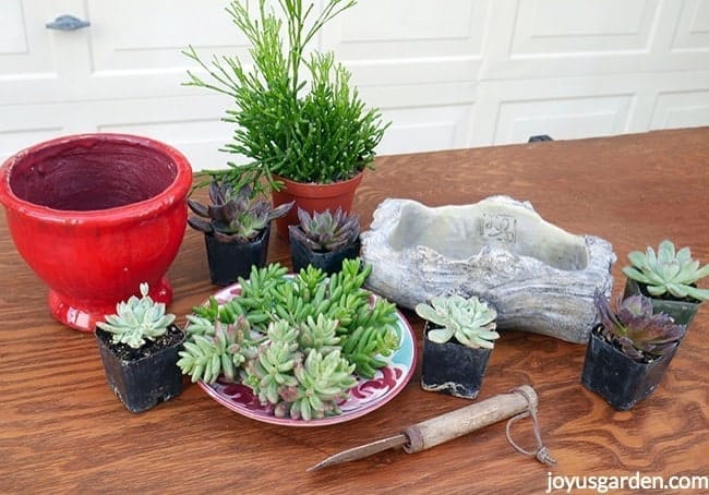 A red pot, small log cement planter & small succulents & succulent cuttings sit on a work table