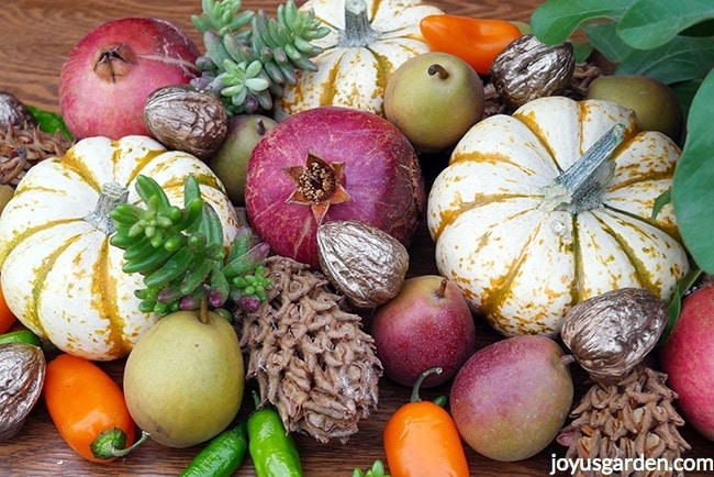 Gilded walnuts, white and orange pumpkins, pomegranates, mini peppers, mini pears and succulent cuttings are in this display Fall table decoration_new