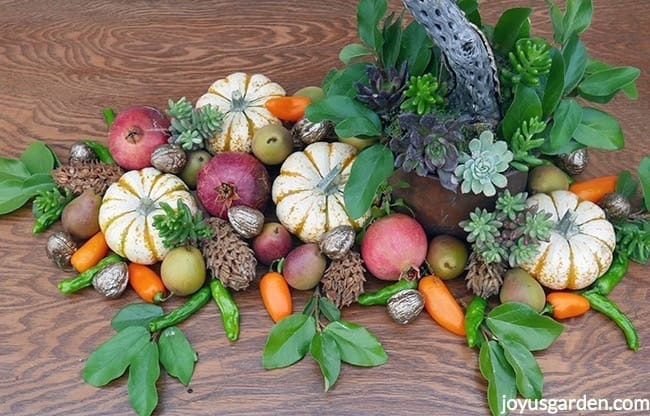 looking down on a fall table decoration which includes small white pumpkins, fruits, nuts, foliage, and succulents