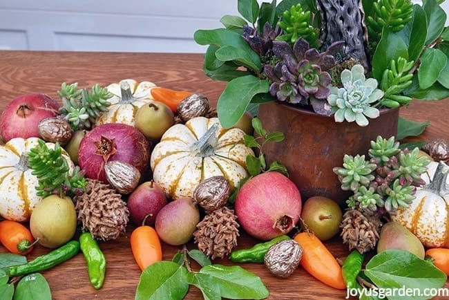 Small pears, white and orange pumpkins, pomegranates, orange peppers, green peppers, magnolia cones and gilded walnuts are next to a brass pot with succulents fall table decoration