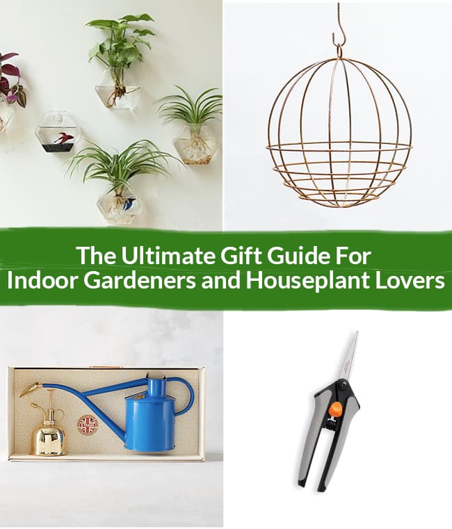 a collage with indoor plant gifts to give houseplant gardeners the text reads The Ultimate Gift Guide For Indoor Gardeners and Houseplant Lovers