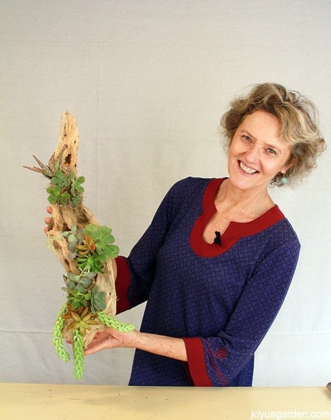 nell foster holding a long succulent & driftwood arrangement