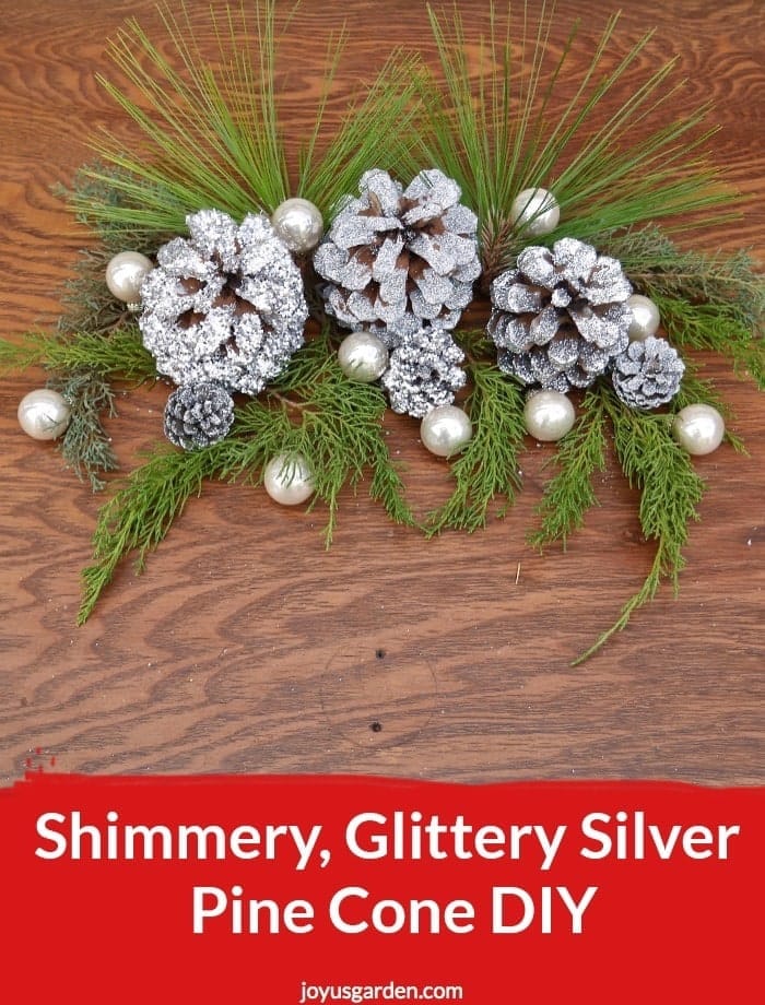 Shimmery, Glittery Silver Pine Cone DIY