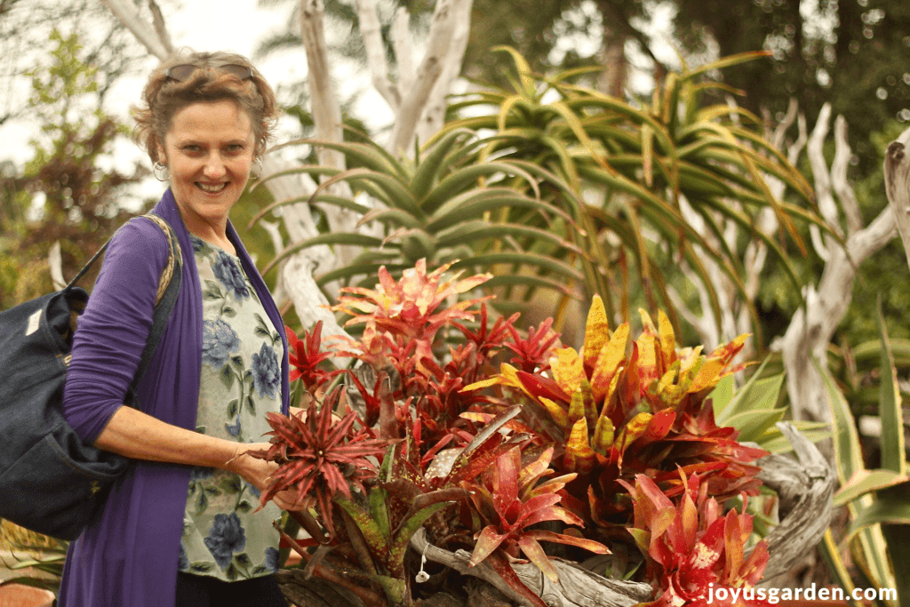 Nell Foster stands next to a colorful outdoor bromeliad display.