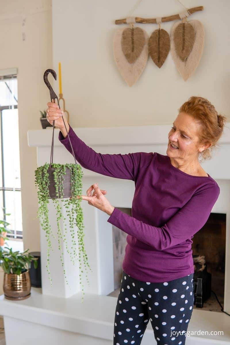 Nel Foster holding a string of pearls plant with long trails indoors, wearing a purple shirt.