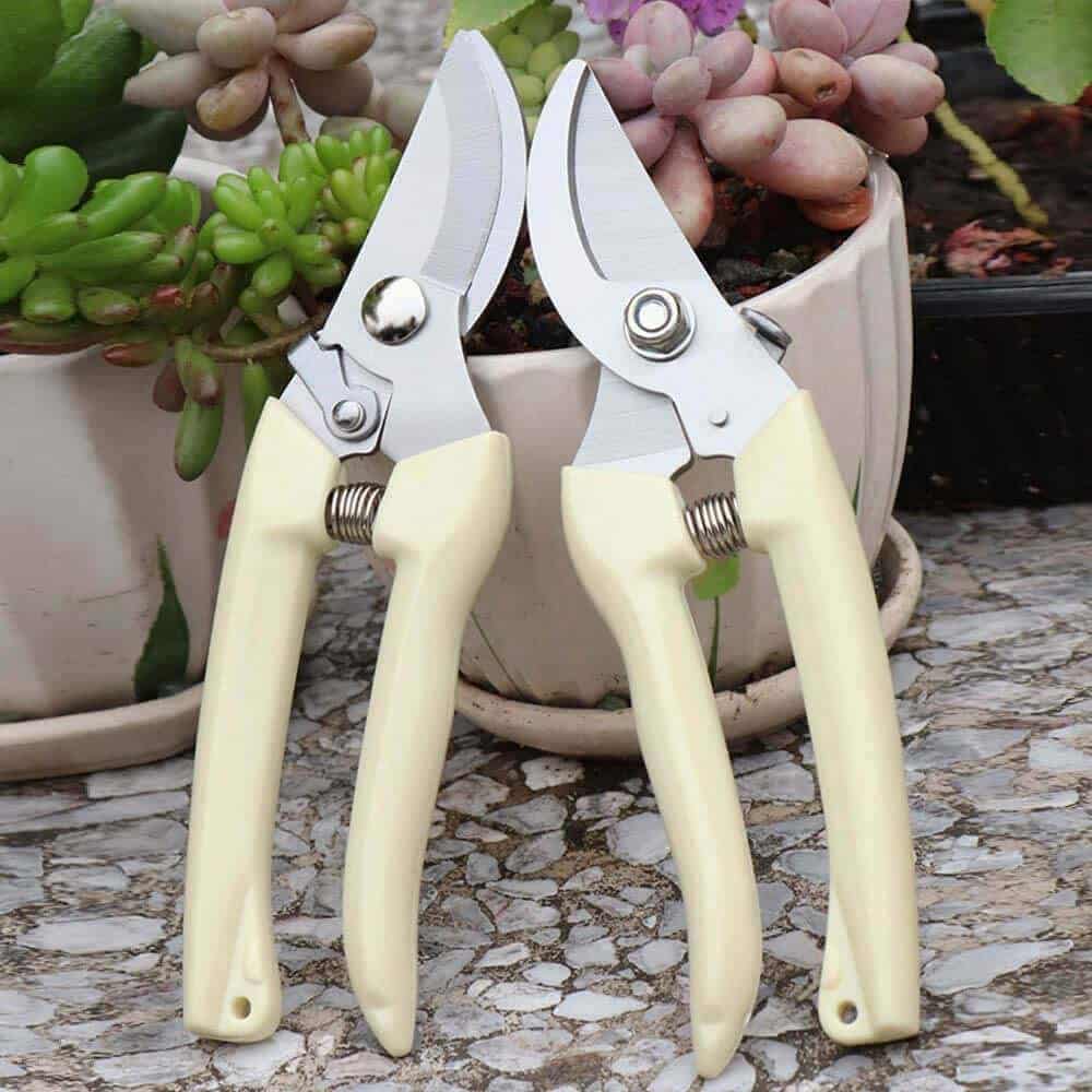 2 pairs of pruners with cream handles