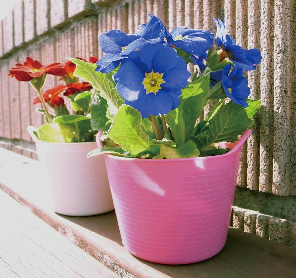 Two pink tubs with flowers inside them.